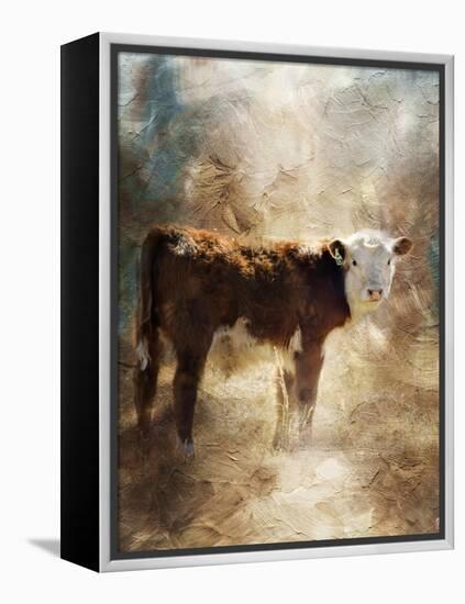 Calf in the Sunday Sun-Jai Johnson-Framed Premier Image Canvas