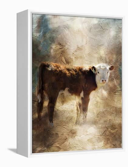 Calf in the Sunday Sun-Jai Johnson-Framed Premier Image Canvas