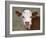 Calf Portrait-null-Framed Photographic Print