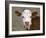 Calf Portrait-null-Framed Photographic Print