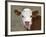 Calf Portrait-null-Framed Photographic Print