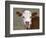 Calf Portrait-null-Framed Photographic Print