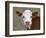 Calf Portrait-null-Framed Photographic Print