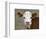 Calf Portrait-null-Framed Photographic Print