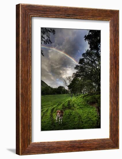 Calf with Green Field and Rainbow-Nish Nalbandian-Framed Art Print