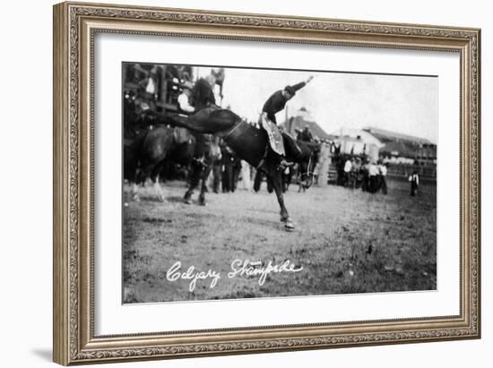 Calgary, Canada - Rodeo; Bucking Horse at the Stampede-Lantern Press-Framed Art Print