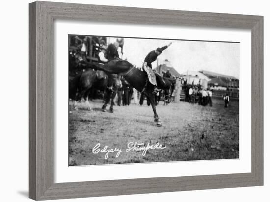 Calgary, Canada - Rodeo; Bucking Horse at the Stampede-Lantern Press-Framed Art Print