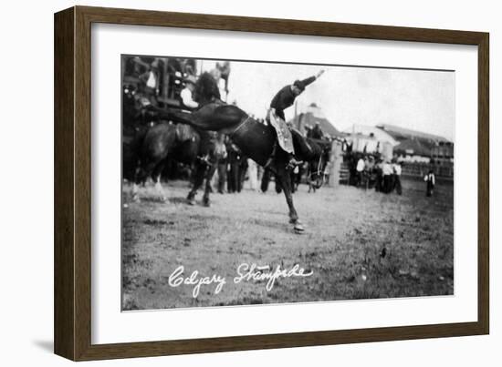 Calgary, Canada - Rodeo; Bucking Horse at the Stampede-Lantern Press-Framed Art Print