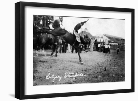 Calgary, Canada - Rodeo; Bucking Horse at the Stampede-Lantern Press-Framed Art Print