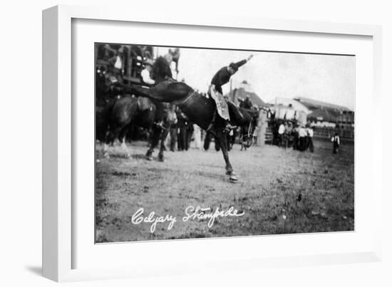 Calgary, Canada - Rodeo; Bucking Horse at the Stampede-Lantern Press-Framed Art Print