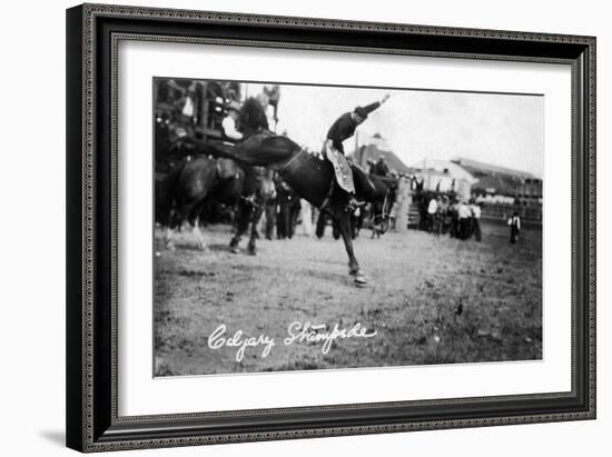 Calgary, Canada - Rodeo; Bucking Horse at the Stampede-Lantern Press-Framed Art Print