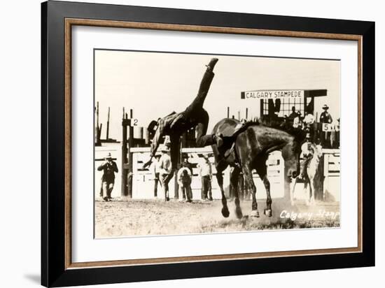 Calgary Stampede Rodeo-null-Framed Art Print