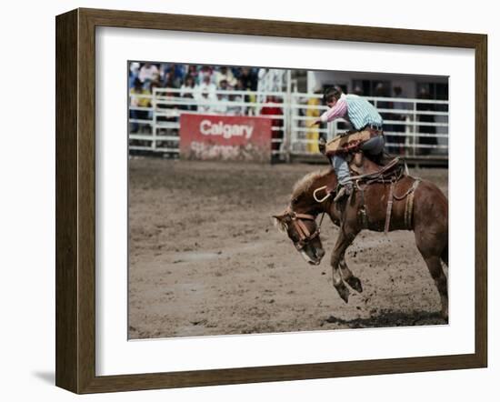 Calgary Stampede, Stampede Park, Calgary, Alberta, Canada-null-Framed Photographic Print