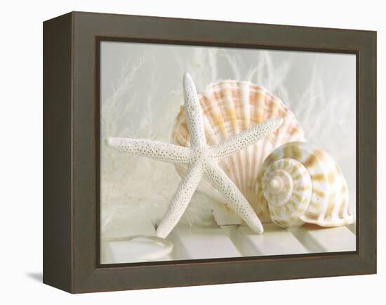 Cali Starfish I-null-Framed Stretched Canvas