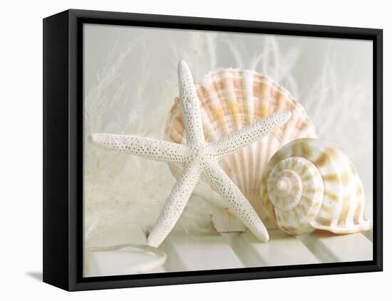 Cali Starfish I-null-Framed Stretched Canvas