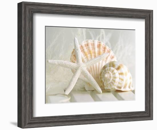 Cali Starfish I-null-Framed Art Print