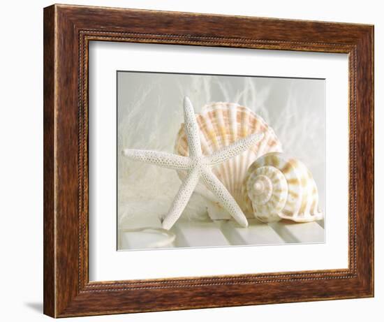 Cali Starfish I-null-Framed Art Print