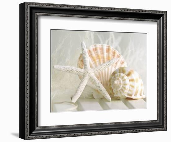 Cali Starfish I-null-Framed Art Print