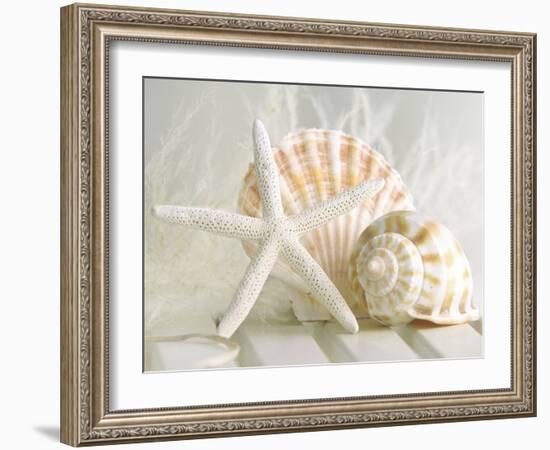 Cali Starfish I-null-Framed Art Print