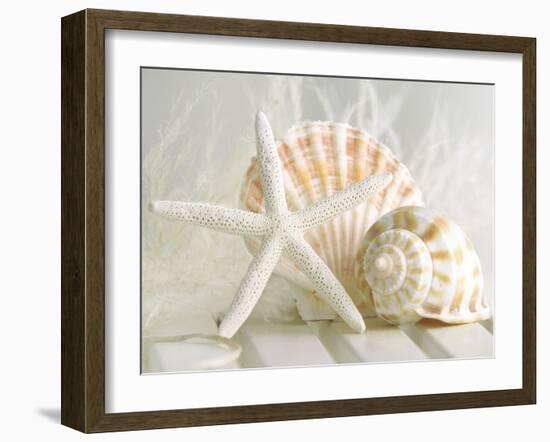 Cali Starfish I-null-Framed Art Print