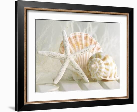 Cali Starfish I-null-Framed Art Print