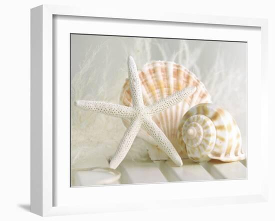 Cali Starfish I-null-Framed Art Print