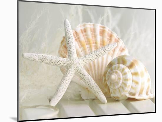 Cali Starfish I-null-Mounted Art Print