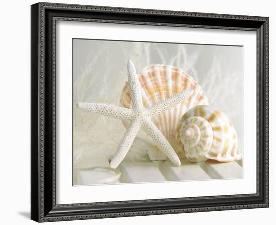 Cali Starfish I-null-Framed Art Print