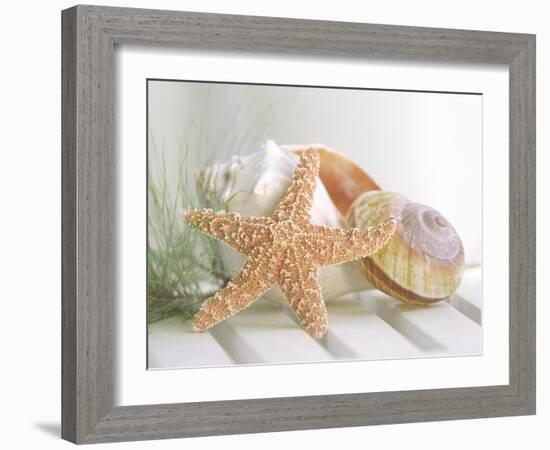 Cali Starfish II-null-Framed Art Print