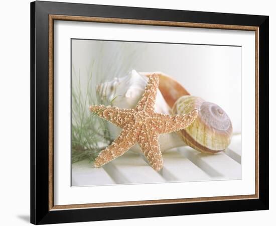 Cali Starfish II-null-Framed Art Print