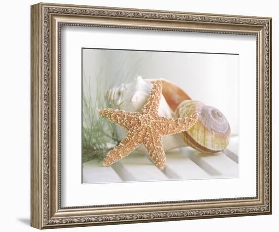 Cali Starfish II-null-Framed Art Print