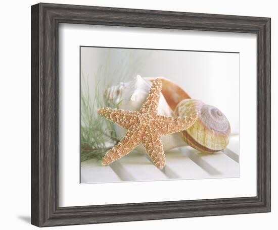 Cali Starfish II--Framed Art Print