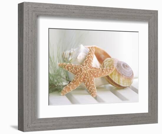 Cali Starfish II-null-Framed Art Print