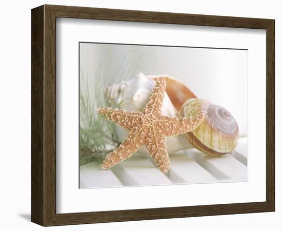 Cali Starfish II--Framed Art Print