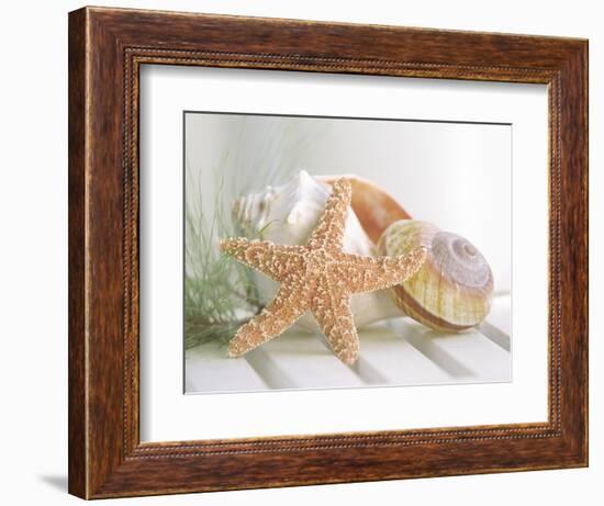 Cali Starfish II-null-Framed Art Print