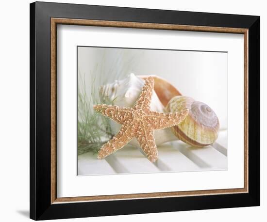 Cali Starfish II--Framed Art Print