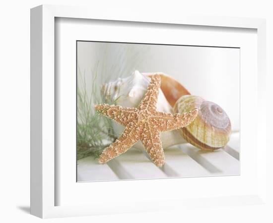 Cali Starfish II--Framed Art Print