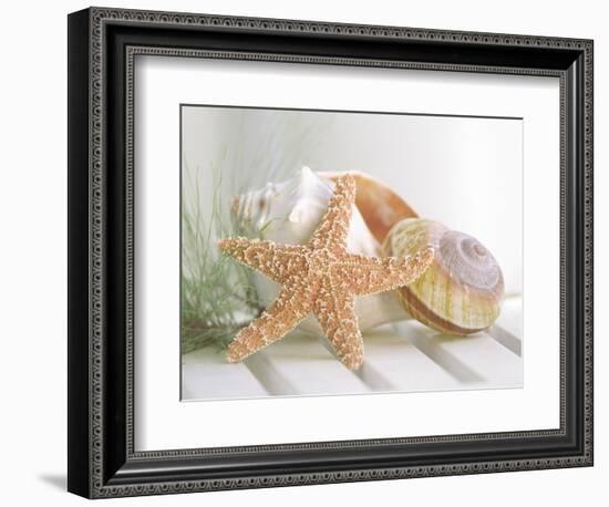 Cali Starfish II-null-Framed Art Print