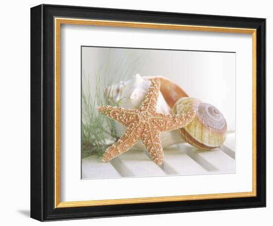 Cali Starfish II-null-Framed Art Print