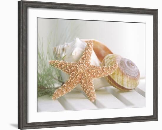 Cali Starfish II-null-Framed Premium Giclee Print