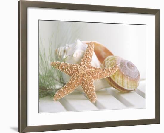 Cali Starfish II-null-Framed Premium Giclee Print
