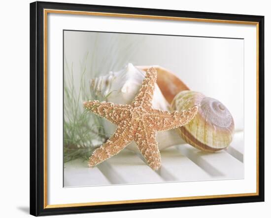 Cali Starfish II-null-Framed Premium Giclee Print