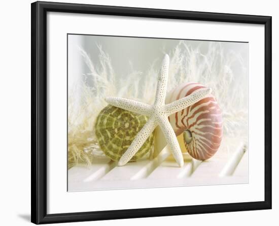 Cali Starfish III-null-Framed Premium Giclee Print