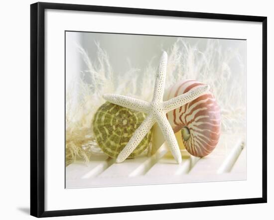 Cali Starfish III-null-Framed Premium Giclee Print