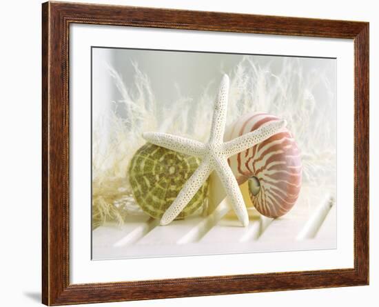 Cali Starfish III-null-Framed Premium Giclee Print