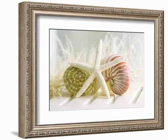 Cali Starfish III-null-Framed Art Print