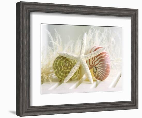 Cali Starfish III-null-Framed Art Print