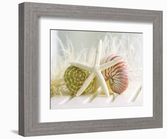 Cali Starfish III-null-Framed Art Print