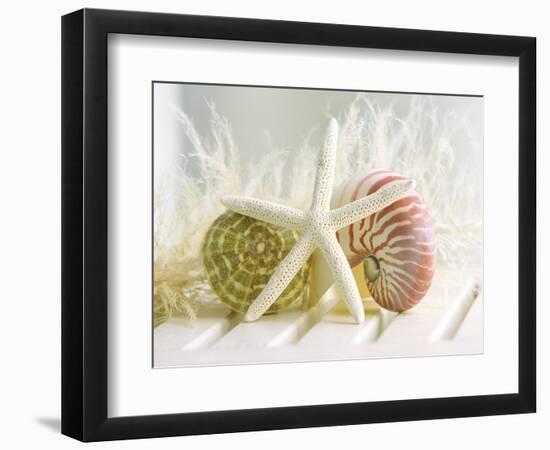 Cali Starfish III-null-Framed Art Print