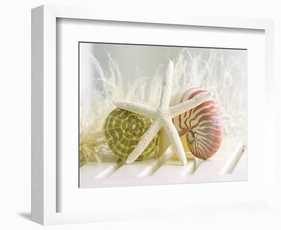 Cali Starfish III-null-Framed Art Print